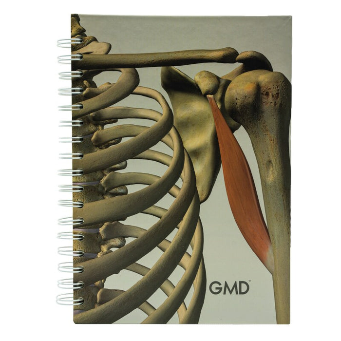 Cuaderno GMD Huesos humanos