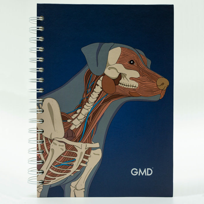 Cuadernos GMD perro anatomía