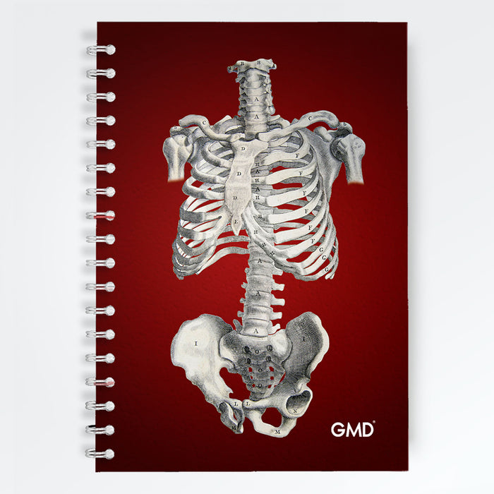 Cuaderno Sistema Óseo GMD