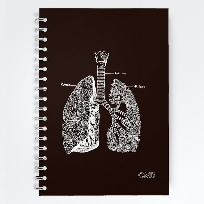 Cuaderno Pulmones GMD