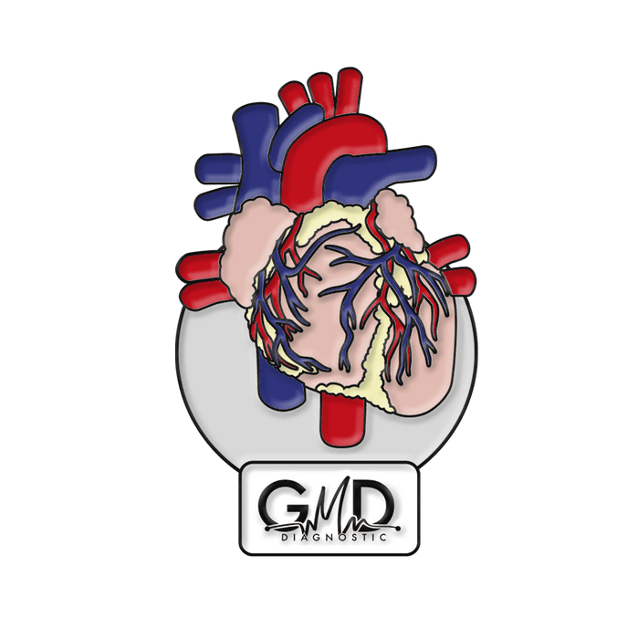 Pin Corazón GMD